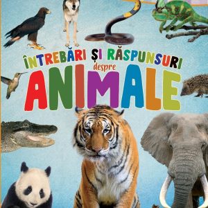 Primele lecturi: Intrebari si raspunsuri despre animale, Girasol