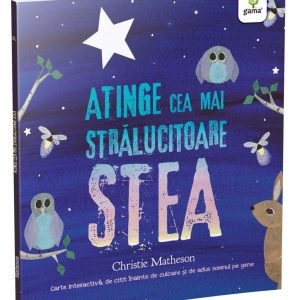 Atinge cea mai stralucitoare stea, Christie Matheson