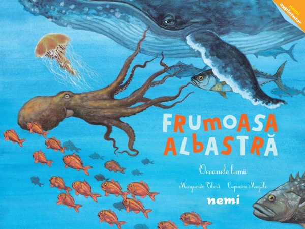 Frumoasa albastra, Oceanele lumii. Capucine Mazille, Marguerite Tiberti