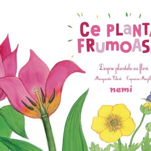 Ce planta frumoasa! Despre plantele cu flori. Capucine Mazille, Marguerite Tiberti