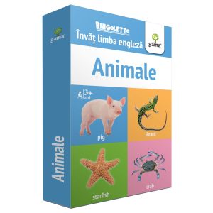 Animale, Invat limba engleza, Bingoletto