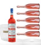 Party Box BOTTEGA COCKTAIL