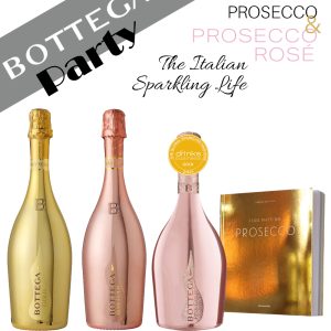Party Box BOTTEGA PARTY