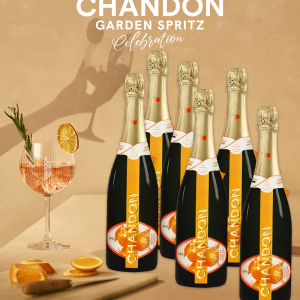 Party Box CHANDON GARDEN SPRITZ CELEBRATION