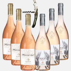 Party Box Chateau d’Esclans
