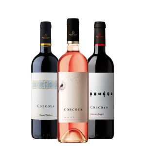 Party Box TASTING CORCOVA