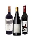Party Box FETEASCA NEAGRA TASTING BOX