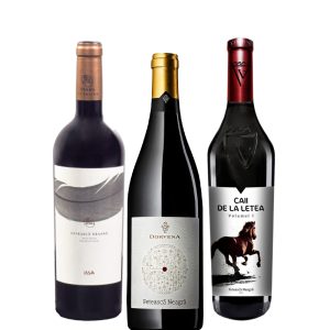 Party Box FETEASCA NEAGRA TASTING BOX