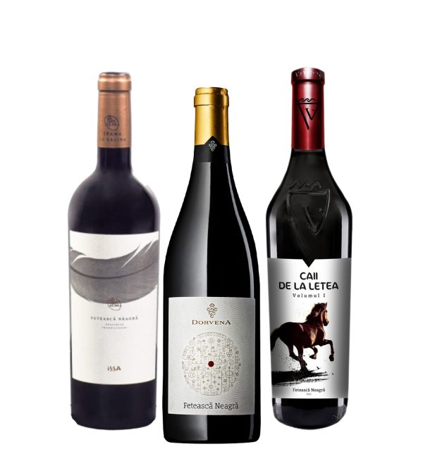 Party Box FETEASCA NEAGRA TASTING BOX