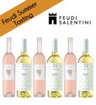 Party Box FEUDI SUMMER TASTING