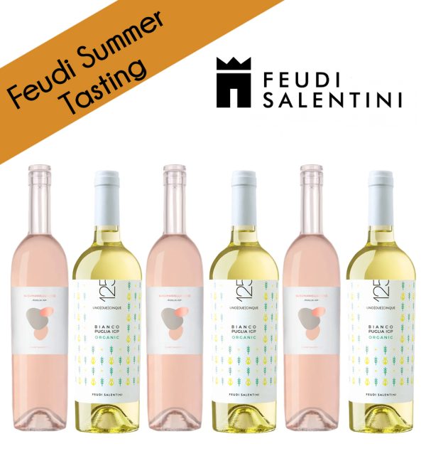 Party Box FEUDI SUMMER TASTING