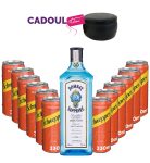 Party Box GIN TONIC MIX