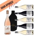Party Box GRAN APPASSO MIX