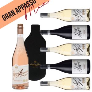 Party Box GRAN APPASSO MIX