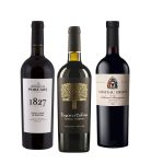 Party Box MOLDAVIAN CABERNET & PINOT NOIR TASTING BOX