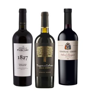 Party Box MOLDAVIAN CABERNET & PINOT NOIR TASTING BOX