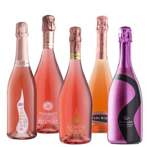 Party Box PROSECCO ROSE TASTING