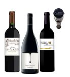 Party Box RED IN BORDEAUX TASTING BOX