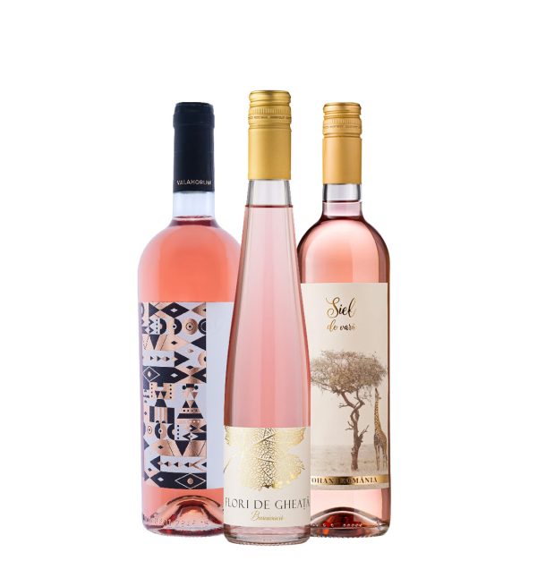 Party Box TASTING ROZE de TOHANI