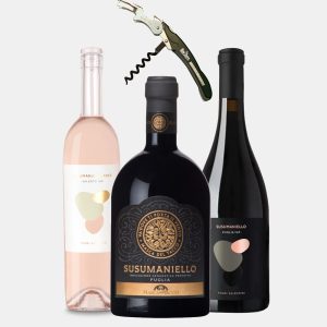 Party Box TASTING SUSUMANIELLO