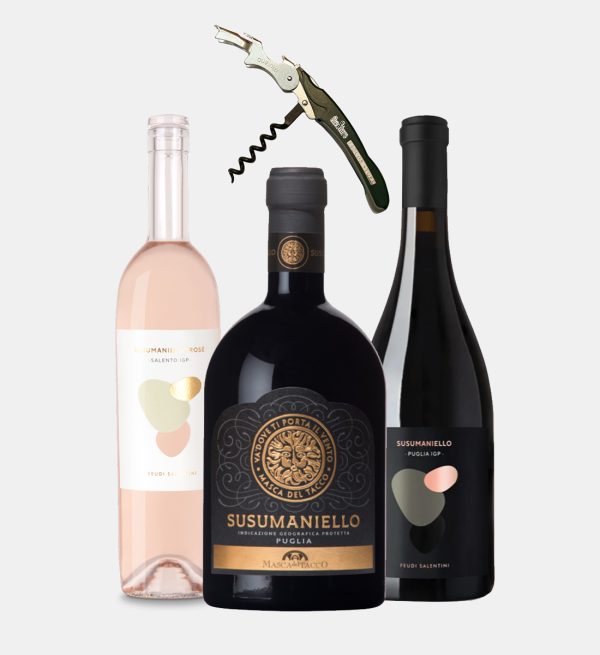Party Box TASTING SUSUMANIELLO