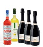 Party Box TWO IN ONE SPRITZ