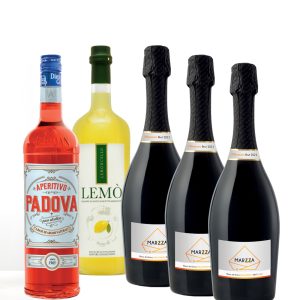 Party Box TWO IN ONE SPRITZ