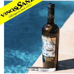 Party Box VINOS SANZ