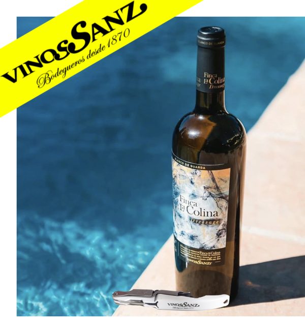 Party Box VINOS SANZ