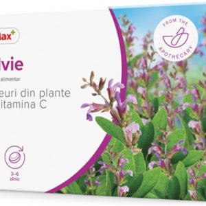 Dr.Max Drajeuri din plante cu salvie si vitamina C, 24 drajeuri