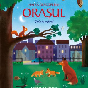 Hai sa descoperim orasul. Carte de explorat, Sebastien Braun