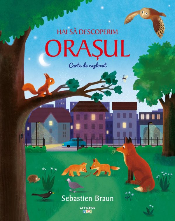 Hai sa descoperim orasul. Carte de explorat, Sebastien Braun