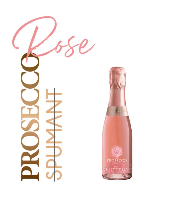 Casa Bottega Prosecco Rose DOC Brut 0.2L