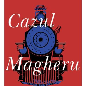 Cazul Magheru, Mihail Drumes