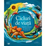 Cicluri de viata, Tiparele evolutiei in univers si in lumea vie