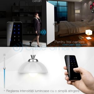 control-de-la-distanta-telecomanda-livolo