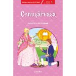 Cenusareasa, Poveste cu pictograme, nivelul 1