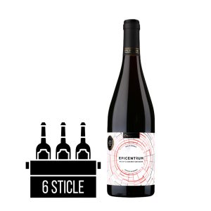 Girboiu Epicentrum Merlot & Cabernet Sauvignon BAX 6 st. x 0.75L - Vin Rosu Sec - Romania