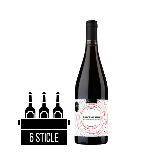 Girboiu Epicentrum Merlot & Cabernet Sauvignon BAX 6 st. x 0.75L - Vin Rosu Sec - Romania
