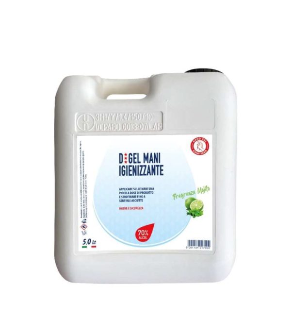 Distillati Digel Dezinfectant Maini Mojito 5L