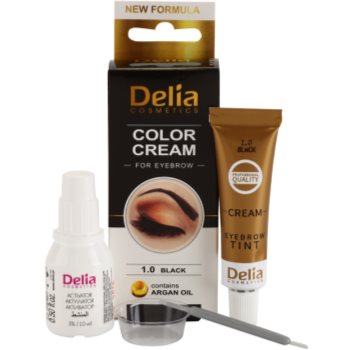Delia Cosmetics Argan Oil culoare pentru sprancene