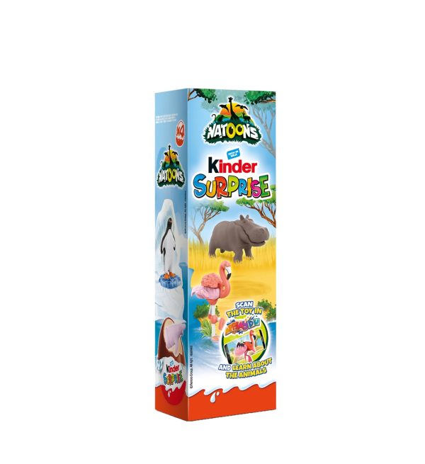 Kinder Surprise 80g