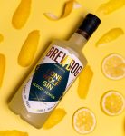 Gin Brewdog Lone Wolf - Cloudy Lemon - 0.7L