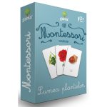 Lumea plantelor, Montessori, vocabular