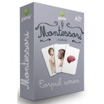 Editura Gama, Carti de joc educative Montessori Seria 3, Corpul uman