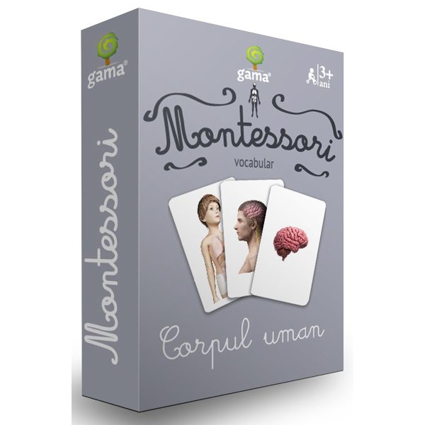 Editura Gama, Carti de joc educative Montessori Seria 3, Corpul uman