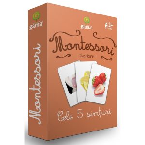 Cele 5 simturi, Montessori, clasificare