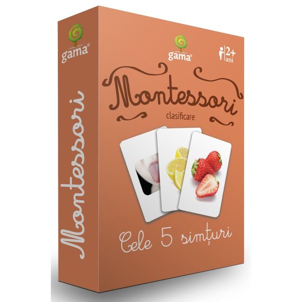 Cele 5 simturi, Montessori, clasificare