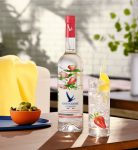 Grey Goose Essences Strawberry & Lemongrass Vodka 1L