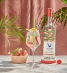 Grey Goose Essences Watermelon & Basil Vodka 1L